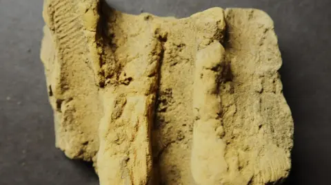 Scottish Water Clay daub from the roundhouse wall.