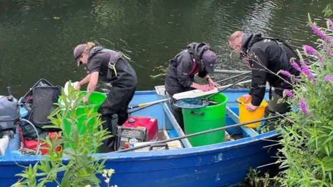 Environment Agency Three Environment Agency staff stand in a blue boat on a river looking into green bins to examine fish. They are wearing blue life jackets and overalls. 