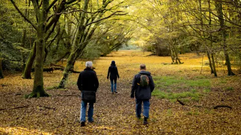 Three people walking through Epping Forest during autumn. There are lots of orange and yellow leaves on the floor and they are surrounded by trees.