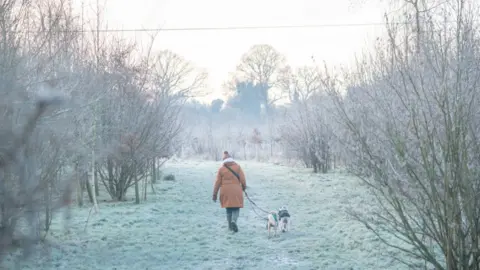 PA Media A walker in hat and thick coat walking two small dogs on leads through a frosty field, with icy trees on both sides