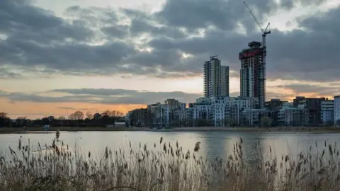 Wildlife Trusts Woodberry Wetlands