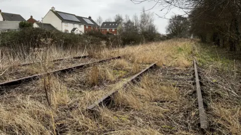 A photograph of the disused Portishead railway tracks showing long grass growing over the old tracks and newer built houses with solar panels to the left. Low trees have grown over part of the line.