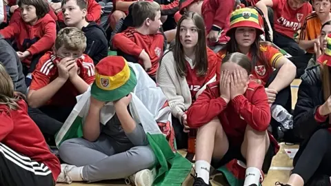 children supporting Wales