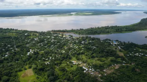 Getty Images Wetland in the Amazon