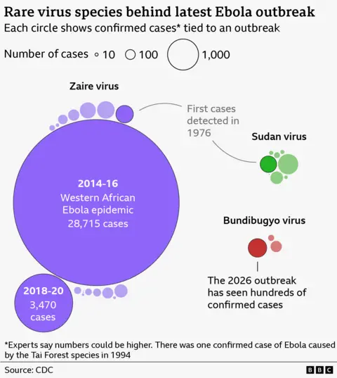 Bubble chart titled “Rare virus species behind latest Ebola outbreak,” where circle size represents confirmed cases. A very large purple circle shows the 2014–16 West African epidemic with 28,715 cases, far exceeding others, alongside a smaller 2018–20 outbreak with 3,470 cases. Smaller clusters represent Zaire, Sudan, and Bundibugyo virus outbreaks; Sudan shows moderate case circles, while Bundibugyo includes a highlighted 2026 outbreak with dozens of confirmed cases and hundreds more suspected cases. A note states Ebola was first detected in 1976 and that case numbers may be underestimates. Source: CDC, WHO.