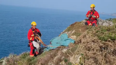 Two men in fire crew uniforms are on a steep rocky cliff above the sea on a sunny day. One has the springer spaniel in his arms and has ropes around him. The other is at the top of the cliff a couple of metres away watching him. There is a tarpaulin on the ground.
