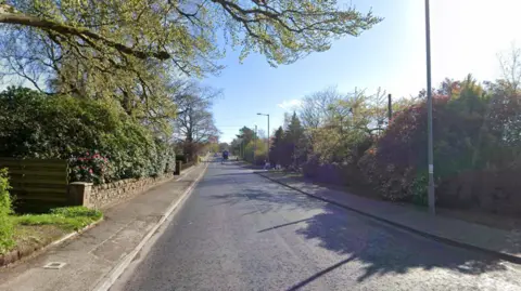 Google Earth A street with green trees, street lights, and a main road running through the middle.