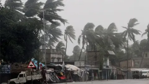 EPA Heavy rain bends palm trees on the Orissa coast