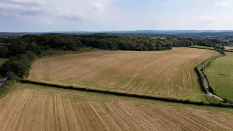 Dorset Wildlife Trust Wild Woodbury June 2021