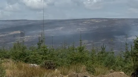 North Yorkshire Fire & Rescue Service/PA Wire A bank of green trees with burnt moorland beyond