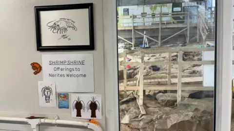 The site lab with drawings of the shrimp posted on walls and the fossil forest visible out of the window. A sign on the wall reads: "Shrimp shrine. Offering to Nerites welcome".