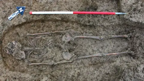 Cotswold Archaeology The skeleton of a Roman woman lies in the dirt. There is archaeological equipment beside her, including a red and white measuring pole beside her and a blue arrow with an N on it, pointing away from her.