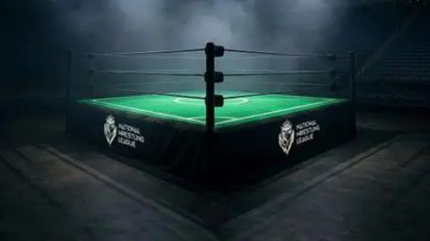 Supplied A illustration of a wrestling ring with the a green canvas football pitch on it.