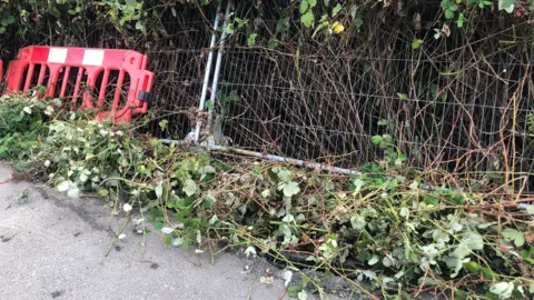 JOHN DEVINE/BBC Red plastic safety fencing and silver fencing leaning against green shrubbery at the edge of the pathway. 