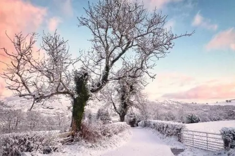Ruth Davies | BBC Weather Watchers A snowy scene. There are couple of trees with icy branches and there is a snowy field and path.