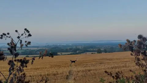 Bertiethedog/BBC Weather Watchers Brill, Buckinghamshire