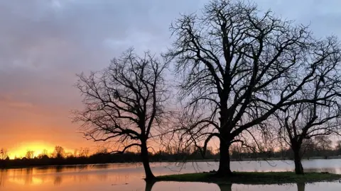 Joanna Helme WEDNESDAY - Christ Church Meadow