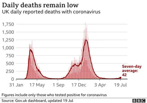 Daily deaths 19 July 2021