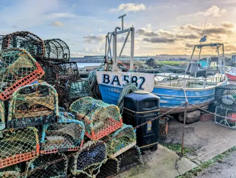 Duncan Alexander A blue and white fishing boat and multi-coloured lobster cages by the pier in St Andrews.