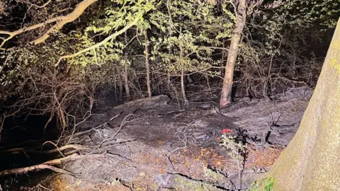Dean Elcome/Natural England An image taken at night of a charred woodland. 