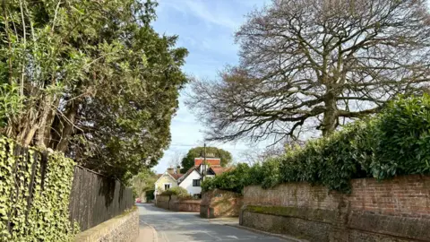 A view of a street in Cookham, with trees lining either side of the road and some houses in the distance.