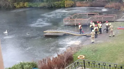Guy Booth Ten firefighters wearing fluorescent clothing attempt to rescue a swan from a frozen pond