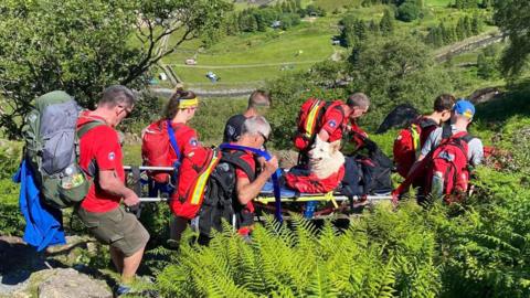 Keswick Mountain Rescue team carrying down German Shepherd down Gillercomb in the Lake District