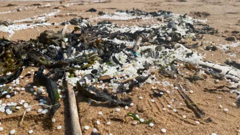 Small, white nurdles in a pile on some wet sand, mixed in with sticks, seaweed and rocks. There are similar piles around this large one, with the nurdles strewn across the sand.
