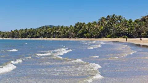 File photo showing a beach and treeline along the Cassowary Coast.