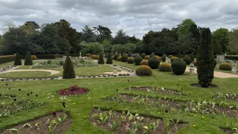 The scene shows a very neat garden, with tulips planted in the foreground. In the background, there are a number of carefully trimmed hedges and bushes. There are also an array of trees behind them.
