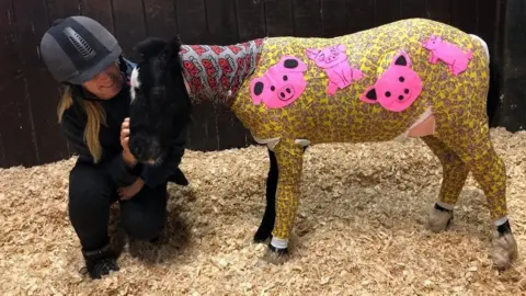 Redwings Horse Sanctuary Phoenix wrapped in bandages which are then covered in a colourful yellow and pink wrap depicting pigs faces