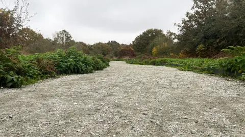 Amy Blunt/BBC A hard grey gravel path going through shrubland.