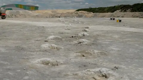 Kevin Church/BBC A track of huge dinosaur footprints - like huge craters on the ground that traces the distance of a quarry in white-gray sandstone, clearly showing that a huge dinosaurs passed that way. In the distance stood three black and one yellow bucket, suggesting that people were working side by side. A raised bluff of dark green vegetation borders the quarry on one side in the far right.