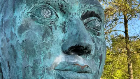 A close-up of a green-coloured sculpture of a face is seen with trees in the background. There are scratches on the sculpture's eyes.
