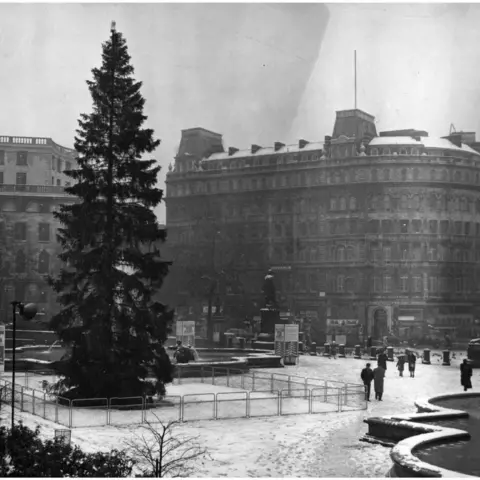 Getty Images Trafalgar tree