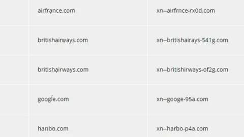 Wandera Domains spoofed with punycode