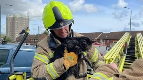 London Fire Brigade Image of a firefighter holding a ragged small cat in his arms