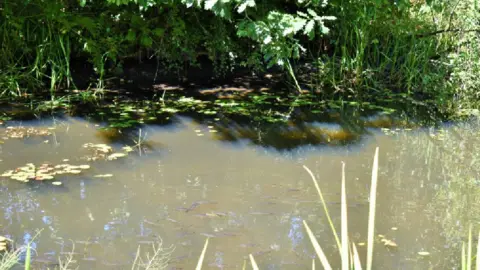 Save the Tennant Canal Fish in the Tennant Canal