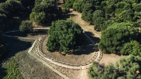 Valerio Atzori Forestry Corps Pema e ullirit të Sardenjës në Itali