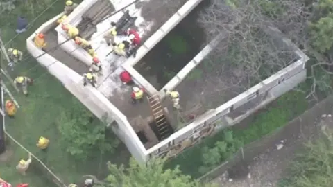 CBS the concrete building