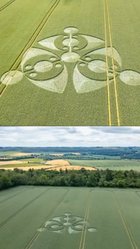 Aerial images of crop circles in fields