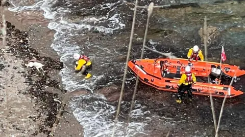 Dartmouth Coastguard A photo of Bella being rescued