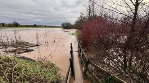 A flooded field and footbridge after the River Creedy broke its banks due to heavy rain. There is grass on the left and red leaves on trees to the right. In the distance is drier fields and the cloudy grey sky. The water is brown.