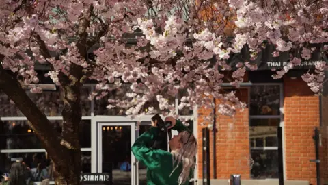 A photographer with long blonde hair and a green jumper underneath a cherry blossom tree taking a close up shot