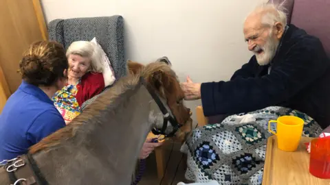 In the centre of the image there is miniature horse Mr Kelloggs. He is brown in colour and is wearing a bridle. To the right there is an older gentleman, a care home resident, wearing a blue dressing gown and sitting in a chair covered with a crochet blanket. He is leaning forward and stroking the horse on it's head. On the left side of the horse in the background is an older lady sitting in a chair. She is wearing a floral dress and red cardigan is is propped up by a pillow. She is speaking to the owner of the horse. This is a younger woman in the foreground with her back to the camera. She is crouched on the floor and wearing a royal blue coloured t-shirt with dark hair worn in a bun.