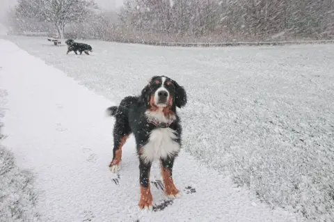 Iolaire/BBC Weather Watchers Snowy Tain