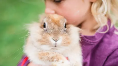 Child holding a rabbit