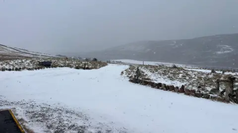 Grandad leask/BBC Weather Watchers A covering of snow on a driveway and fields on a grey day in Shetland.