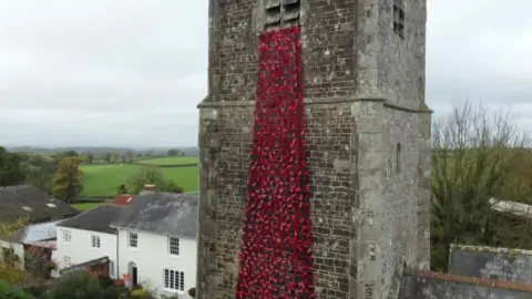 Poppies