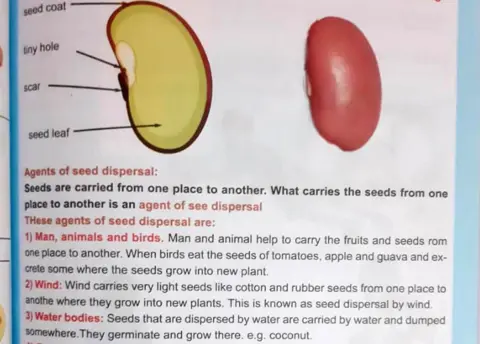 Tony Vinyoh A photo of a Cameroonian school text book